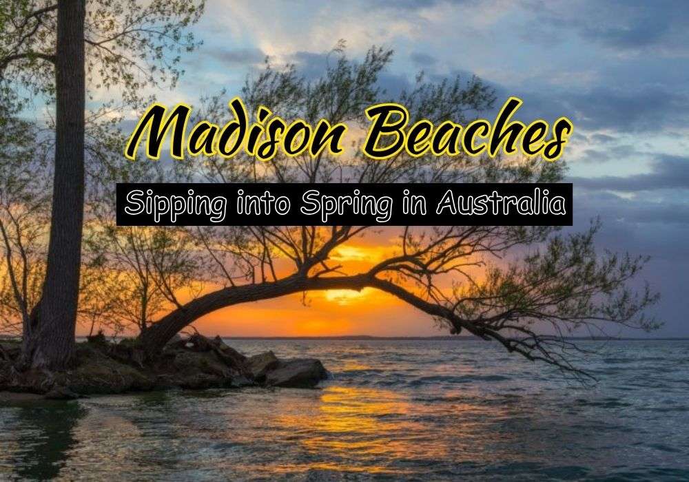 Beaches In Madison